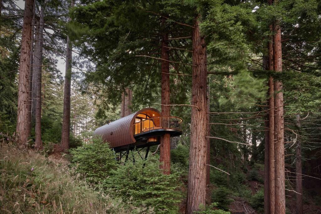 ~* The Spectacular Spyglass Treehouse *~ Occidental Exteriér fotografie